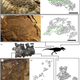 Image: Bell et al, Biol. Let (2017)